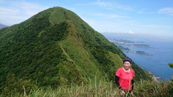 黃金一稜～基隆山東峰 (雷霆峰)→主峰0型377389