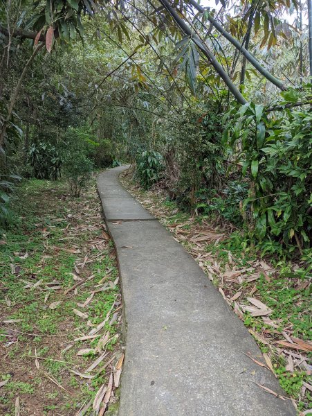 2022.03.05－大棟山縱走1636851