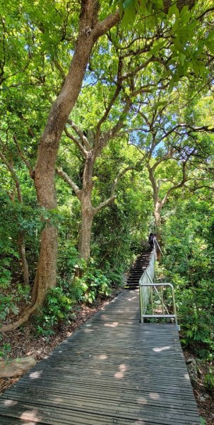 柴山登山步道1454345