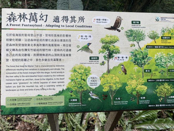 三角崙山及抹茶山3065485