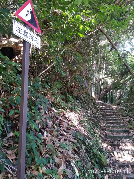 步道巡訪員 l 石夢谷步道7月巡訪日誌1061967