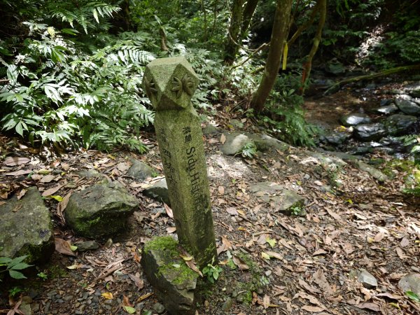 [淡蘭古道] 2026_0524 南路第四段_四堵古道(中)-石柱3069943