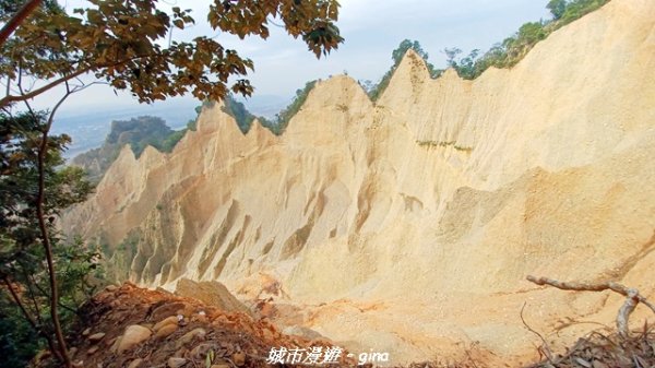 【苗栗三義】台灣百大必訪步道。 火炎山、南鞍古道O繞x火炎山下花海2954167