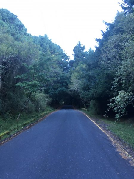 20181021-麟趾山&鹿林山444970