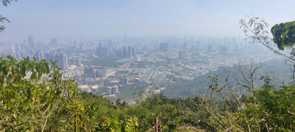 高雄壽山、半屏山2943060