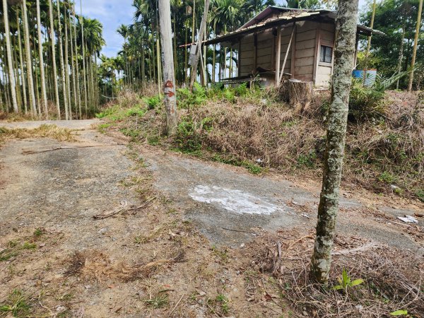 20241222二載山與大橫屏山南峰(追加鹽菜甕山、鹽菜甕下山)2721533