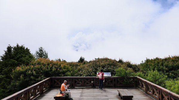 阿里山森遊區-祝山,對高岳步道2537002