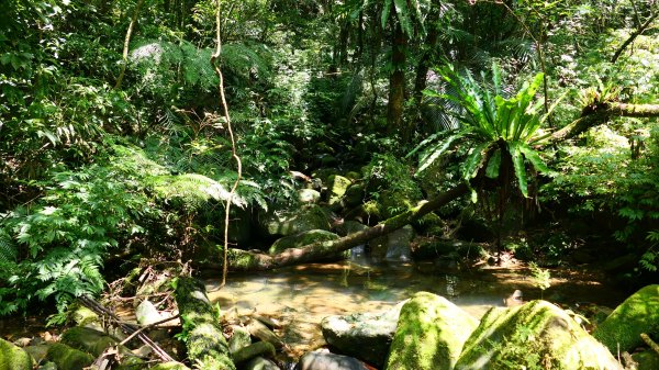 大湖尾,溪尾寮,藤寮坑古道2877527