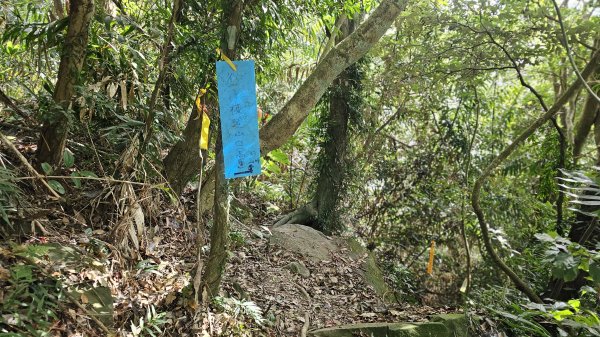 暗影山三進三出2366549