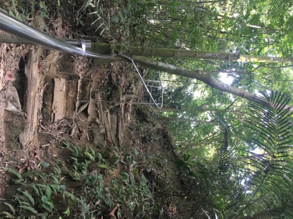 中興林場後山（鑰匙🔑認領2700417