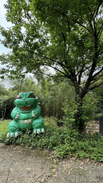 20240429 桃園復興枕頭山薑母島2492290