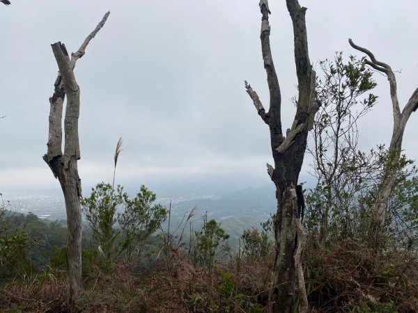 苗栗三義-三員縱走2616457