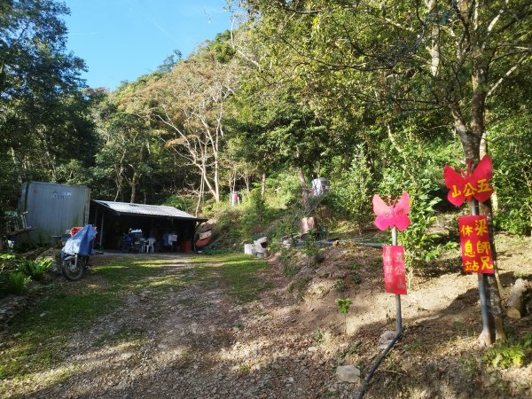 [高雄茂林][二]網子山、網子山東北峰(桑名遺址)、鳴海下山、鳴海山、真我山北峰、真我山