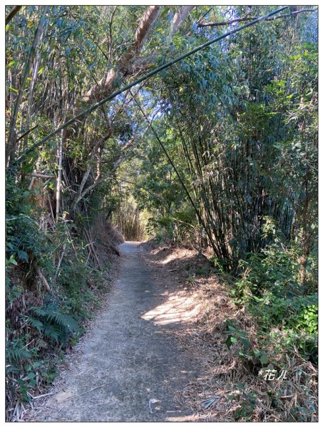 石圍牆山、北峰展望(台中、東勢)2669974