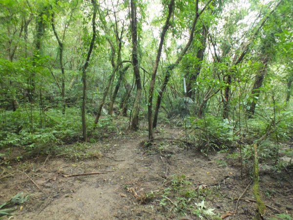 百二階古道+苕谷瀑布+逸仙山+泰和樓2734489