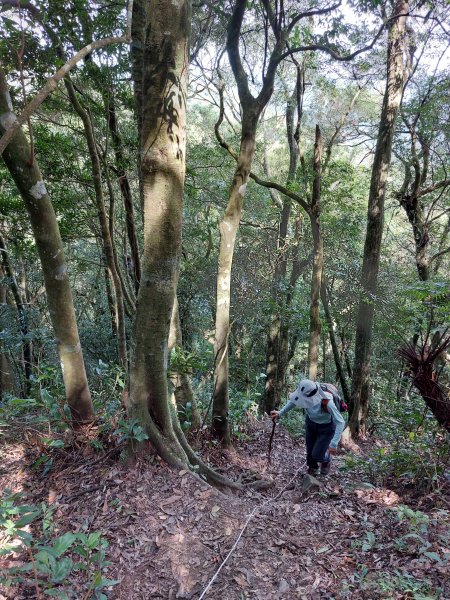 志繼山東眼山O型走202207161792393