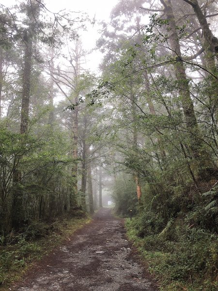 ~  天使的眼淚 -- 嘉明湖 + 三叉山 + 向陽山  ~2334311