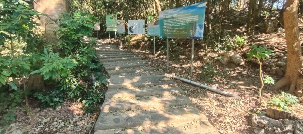 高雄壽山、半屏山2943043