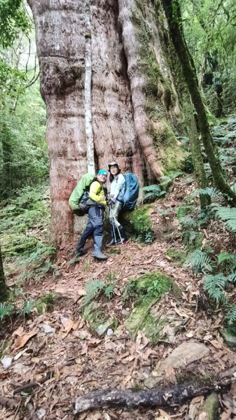 干卓萬群峰五天1141001~052906197