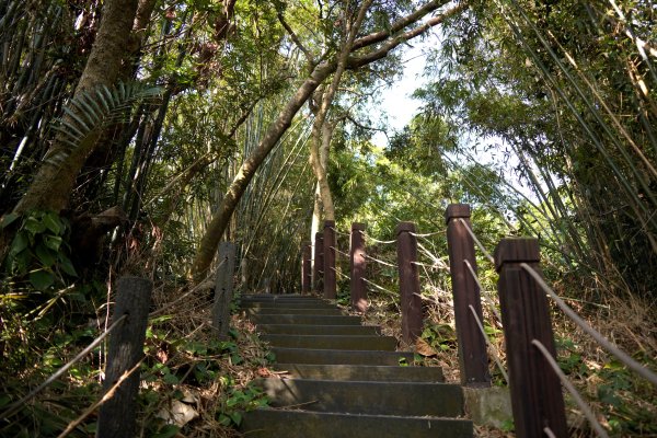 聚興山 新田登山步道2670672