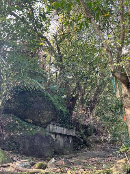 2025-01232淡蘭古道北二段(燦光寮古道到澳底)2696724