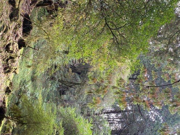 1131215大塔山步道2669080