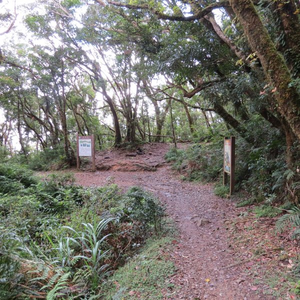 春日-浸水營古道-加羅坂544876