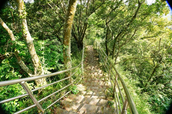 新竹 芎林 飛鳳山、中坑山、石壁潭山3050428