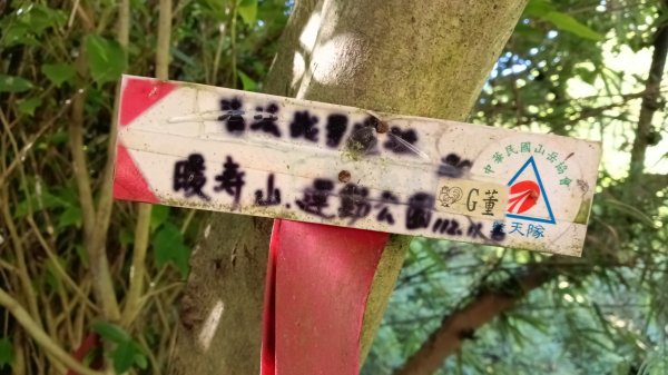 基隆市暖暖車站-暖壽山-暖東苗圃-頂寮山-清法戰爭砲台遺址-碇內3091333