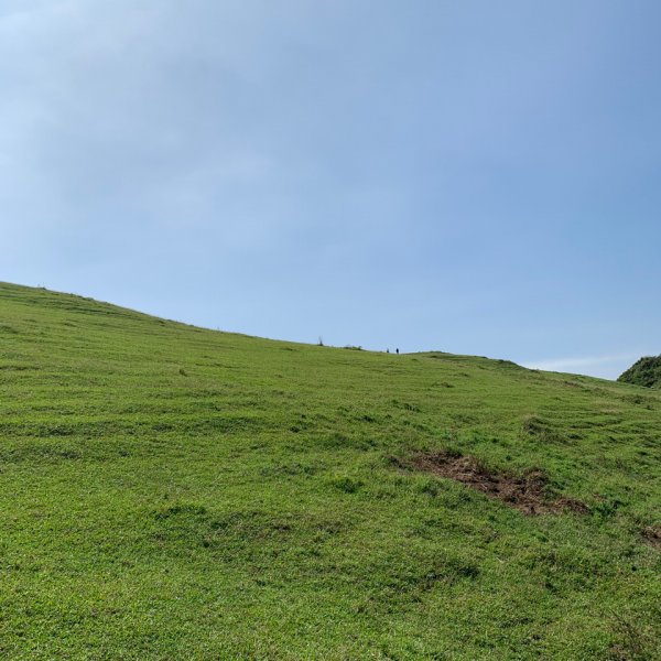 桃源谷步道-灣坑頭山（小百岳）-草嶺古道1867342