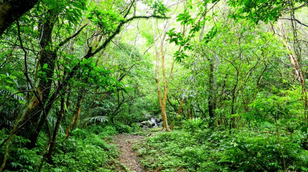 石笋古道,焿子寮古道,松子嶺古道2798357