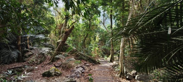 2026/01/01_雪山坑環線步道O型2978089