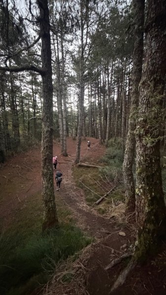 中央尖山 2025 11/7 三天兩夜2935745