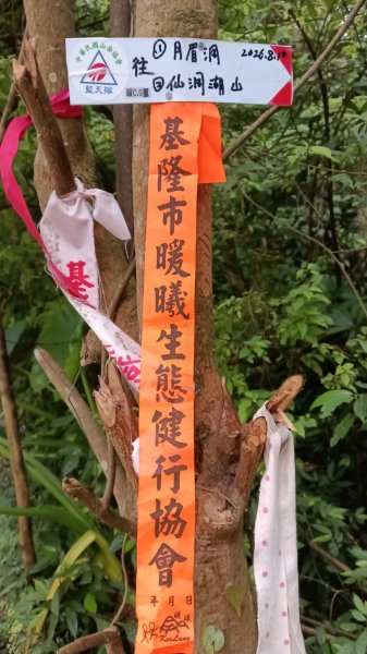 月眉洞步道-仙洞湖山未果3115486