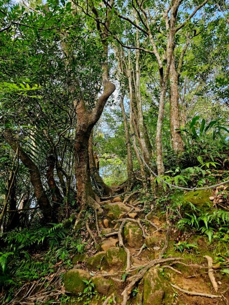 (五分山系)望古瀑布-2025微笑山線大縱走尋寶集章任務2855270