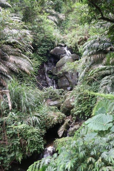 〔新店〕銀河洞越嶺步道 待老坑山 貓空  樟湖步道，繞8字路線2316861