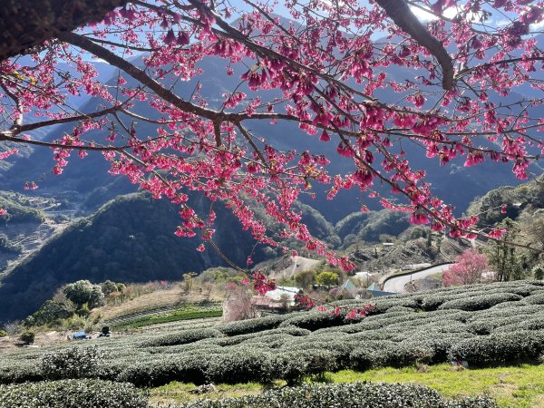 廬山六寶「再生山」馬海樸溫泉