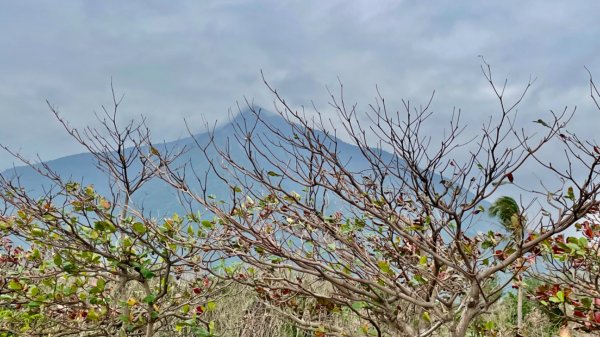 挑戰者之歌/新城-曼波海提-七星潭-月牙灣-四八高地2714670