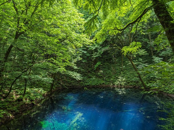 2023-06-14 十二湖（日本）2793211