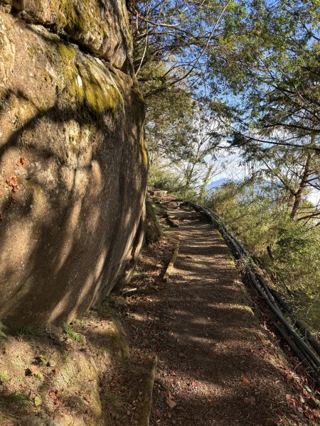 20251225塔山步道(大塔山)2970349