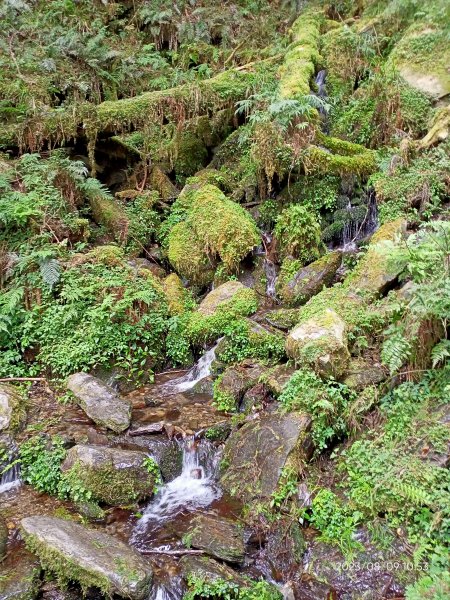 宜蘭太平山國家森林遊樂區 - 見晴懷古步道、檜木原始林步道（2-1 至蹦蹦車站）【台灣百大必訪步道】2245151