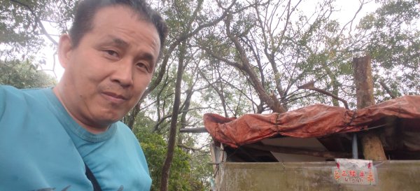 微笑山線：【天上山系】望月亭桐花段3001600