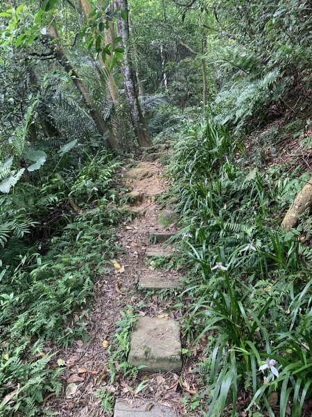 20260412鳶山東峰、長春嶺、鳶山（福德坑山）三角點、鳶山彩壁、鳶山岩、光復紀念鐘3045597