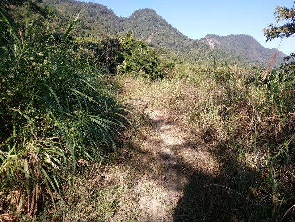 大橫屏山(小百岳045)後角寮210電桿757468