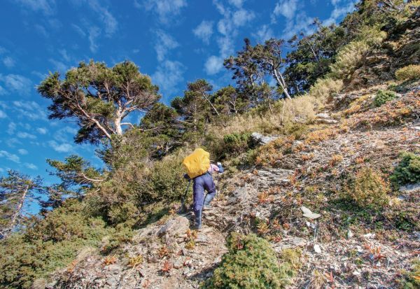 【登山醫學】高山反應別上身－上山前的醫學課