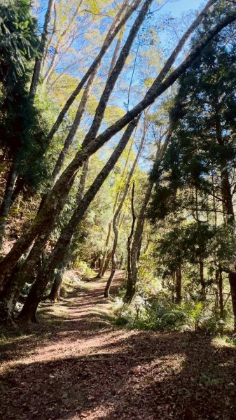 🌈11/22（六）-23（日）霞喀羅古道全段✨FB：熊熊趴爬走🌈2944588