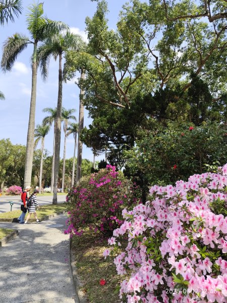 內湖運動中心→勞工保險局→南門市場→台灣電力公司→國立臺灣大學2734277