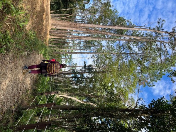 桃園-高遶溪天空吊橋-高遶溪瀑布-高遶溪古圳步道2941990