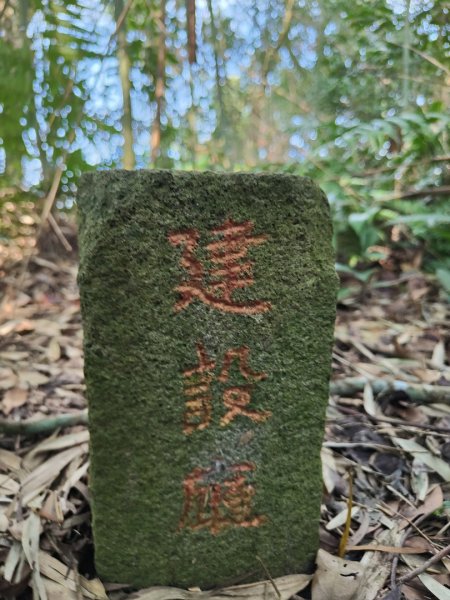 2024.02.17 關西金山2845311