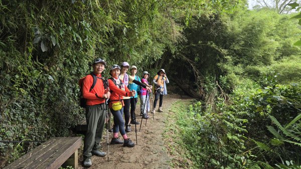 陽明山優質經典步道，興福寮古道，雲霧繚繞的向天池2815638